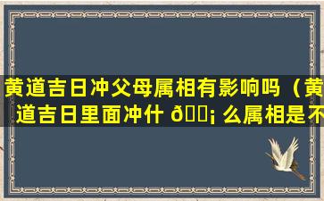 黄道吉日冲父母属相有影响吗（黄道吉日里面冲什 🐡 么属相是不是 🐠 不宜）